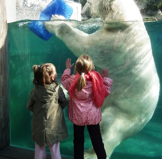 Top Performance Parts: Ultimate Comparison Guide